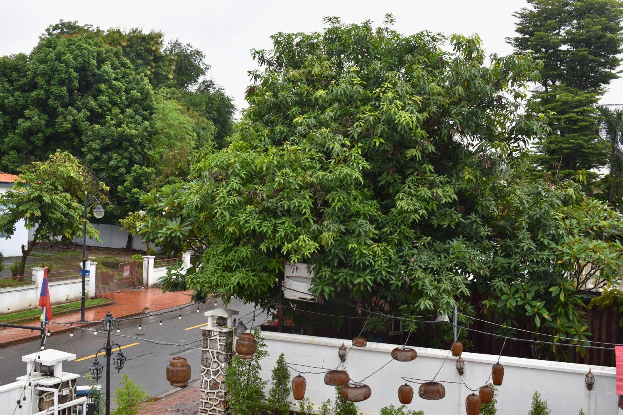 Monsane Villa 琅勃拉邦 外观 照片